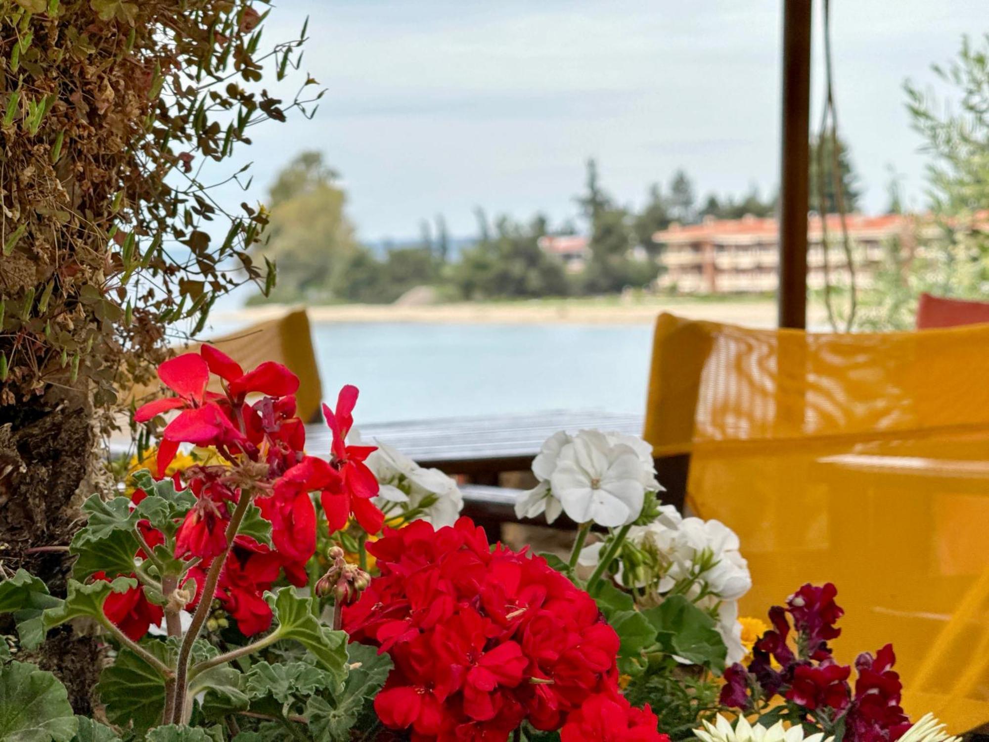 Maistrali Beach Studios Γερακινή Εξωτερικό φωτογραφία